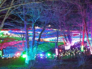 ��t�Ȃ̂ɓ����B�P