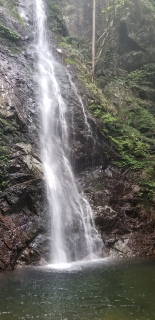ȂB